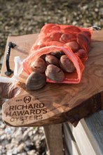 Load image into Gallery viewer, Mersea island clams. Cherrystone clams.