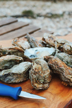Load image into Gallery viewer, Wild rock oysters. Mersea oysters. West Mersea. Mersea Island
