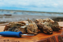 Load image into Gallery viewer, Wild rock oysters. Medium oysters. Buy oysters online.