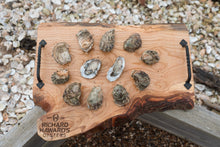 Load image into Gallery viewer, Shucked oysters. Open oysters. Rock oysters.