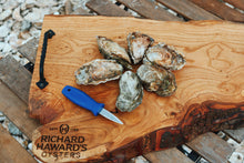 Load image into Gallery viewer, A dozen rock oysters. Buy Mersea Oysters. Mersea oysters.