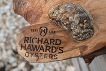 Load image into Gallery viewer, Medium rock oyster. Mersea rock oyster.