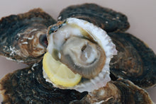 Load image into Gallery viewer, Half a dozen native oysters. 1 shucked native oyster. Sold at Borough Market, London