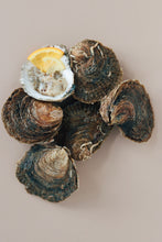 Load image into Gallery viewer, Half a dozen medium native oysters. Oyster farm on Mersea Island. Buy oysters at Borough Market.