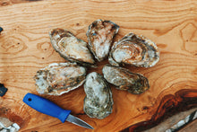 Load image into Gallery viewer, Half a dozen oysters. Buy oysters online. Buy Mersea oysters.