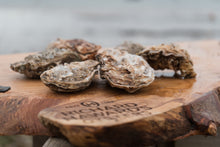Load image into Gallery viewer, 6 rock oysters.
