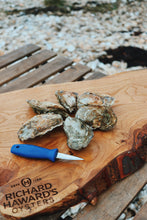 Load image into Gallery viewer, Order oysters online. Mersea rock oysters. Mersea oyster business.