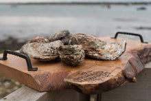 Load image into Gallery viewer, Large mersea oysters. 