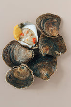 Load image into Gallery viewer, 6 large native oysters. Order online today.