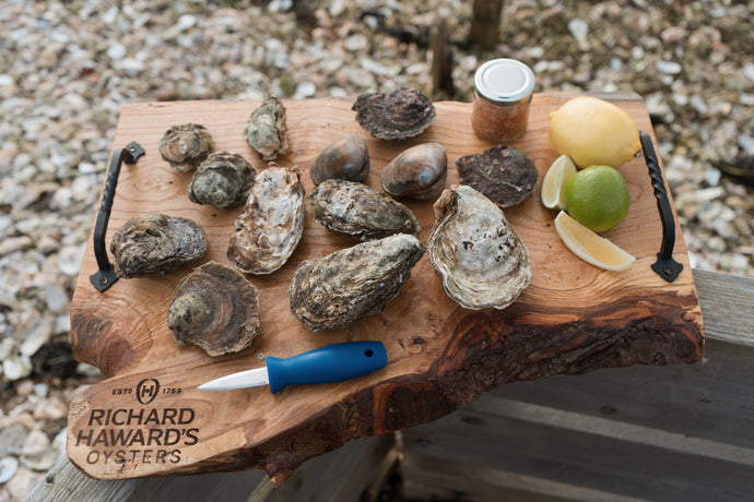 Native oyster taster box. Native oysters. 