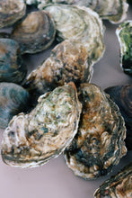 Load image into Gallery viewer, Close-up of oysters on a light background. Mersea oysters. Richard Haward's Oysters.