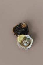 Load image into Gallery viewer, Two native oysters on a beige background