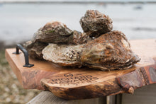 Load image into Gallery viewer, Large mersea oyster