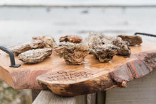 Load image into Gallery viewer, 12 medium oysters. Mail order oysters. Shop oysters online.