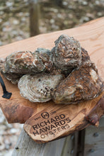 Load image into Gallery viewer, Large Oyster. Mersea oysters.