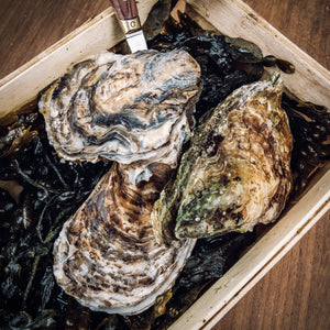 Buy UK oysters online from Richard Haward's Oysters
