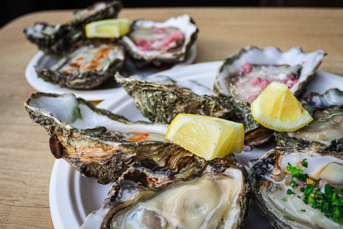 Rock oyster. Mersea oysters. Mail order oysters