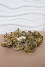 Load image into Gallery viewer, 12 jersey rock oysters, 1 shucked jersey oyster 