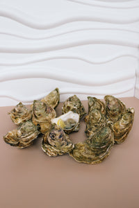 12 jersey rock oysters, 1 shucked jersey oyster 