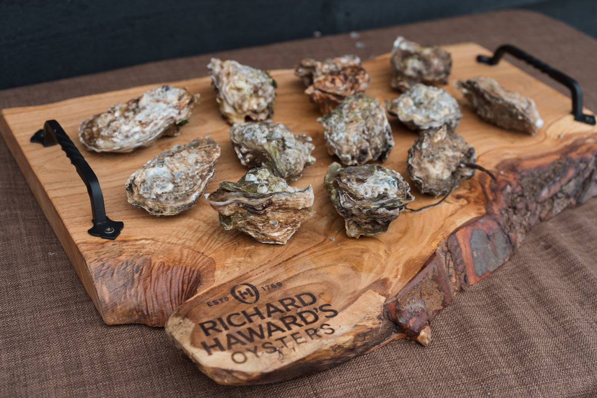 Medium rock oysters. Mersea. Mersea oysters
