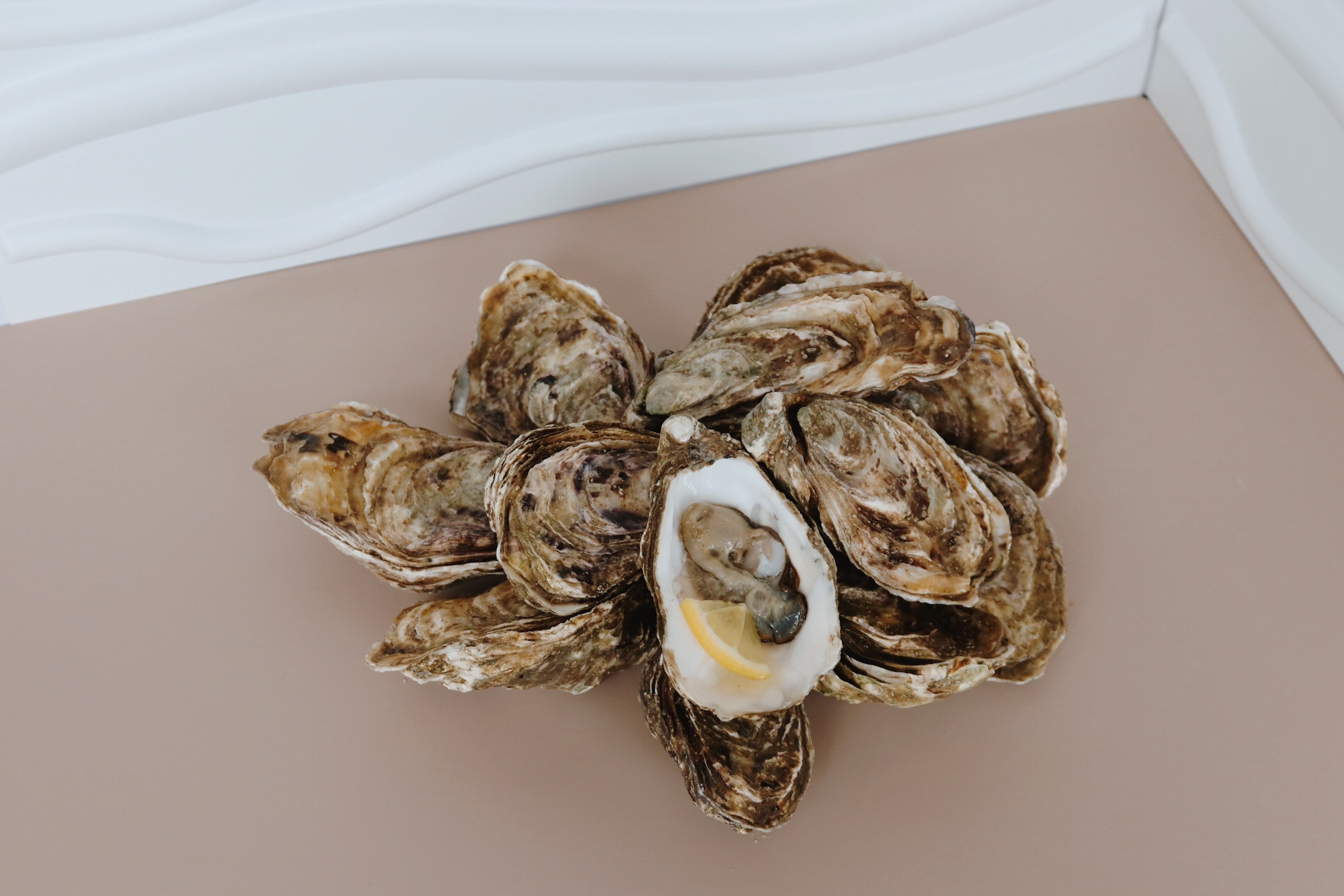 Group of oysters on a beige surface with a white background
