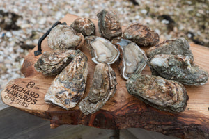 12 large shucked oysters