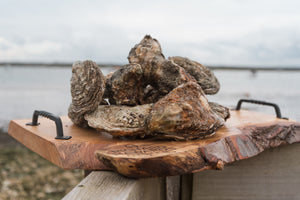 12 Large Rock Oysters