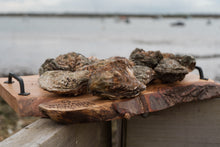 Load image into Gallery viewer, 12 large rock oysters. Mersea Island. 