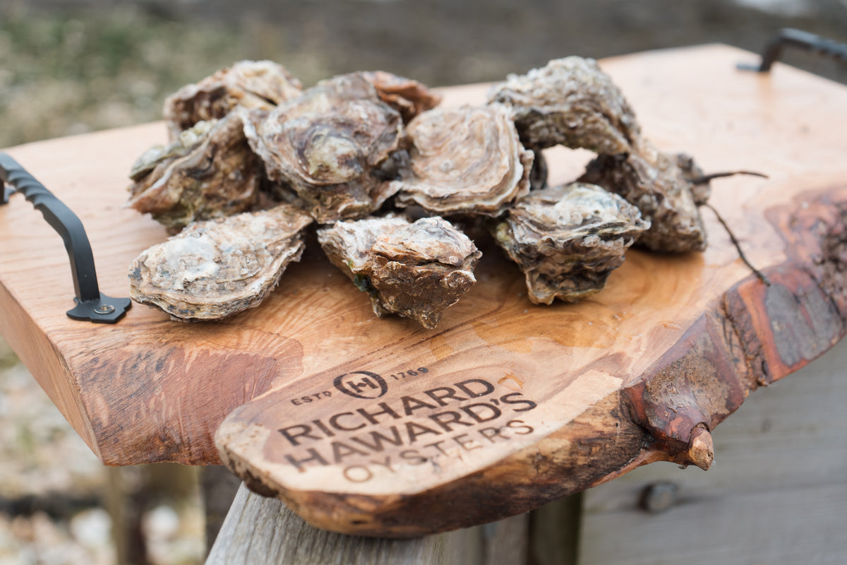 12 medium oysters. rock oysters. Mersea oysters 
