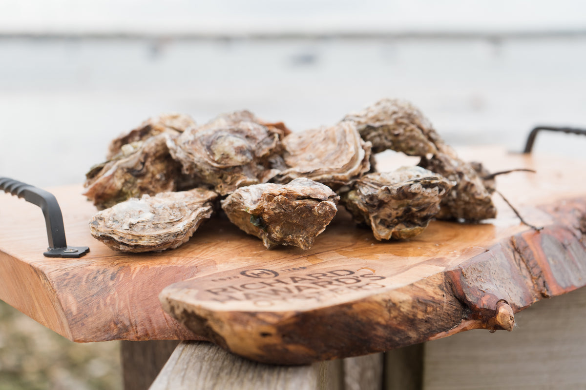 Dozen medium oysters. Mersea. Oysters from Mersea