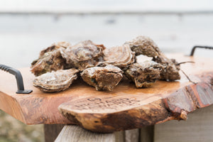 Dozen medium oysters. Mersea. 