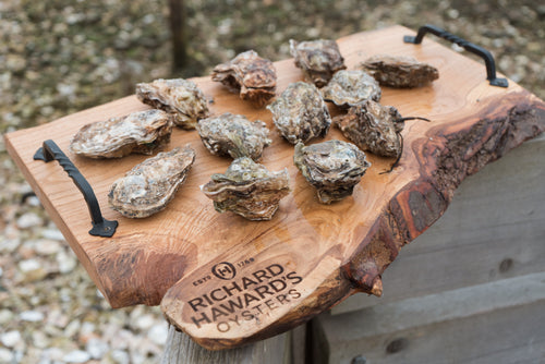 Mersea Rocks Medium rock oysters from Mersea. Mersea oysters.