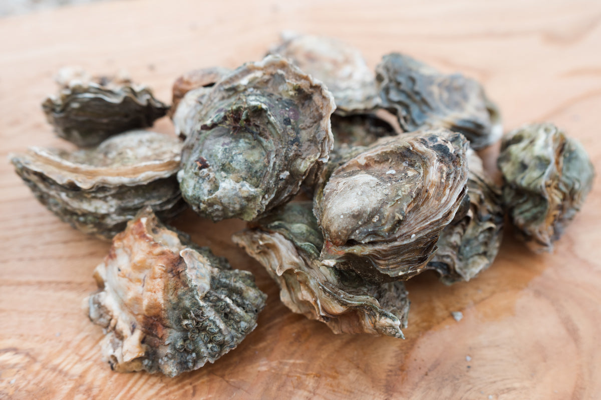 12 small gigas. Oysters from Mersea. 