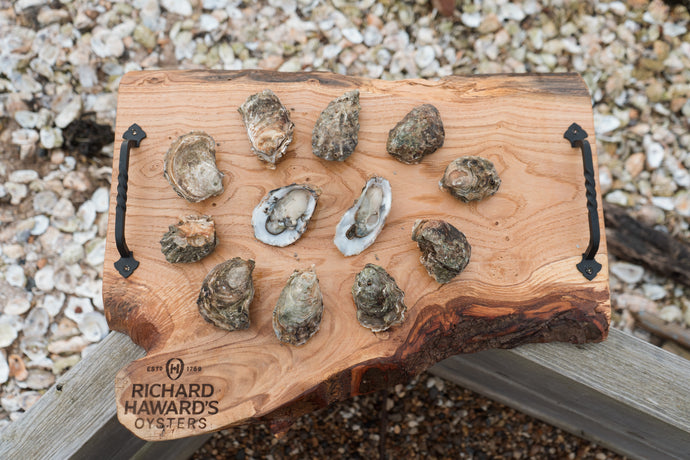 Shucked oysters. Open oysters. Rock oysters. 