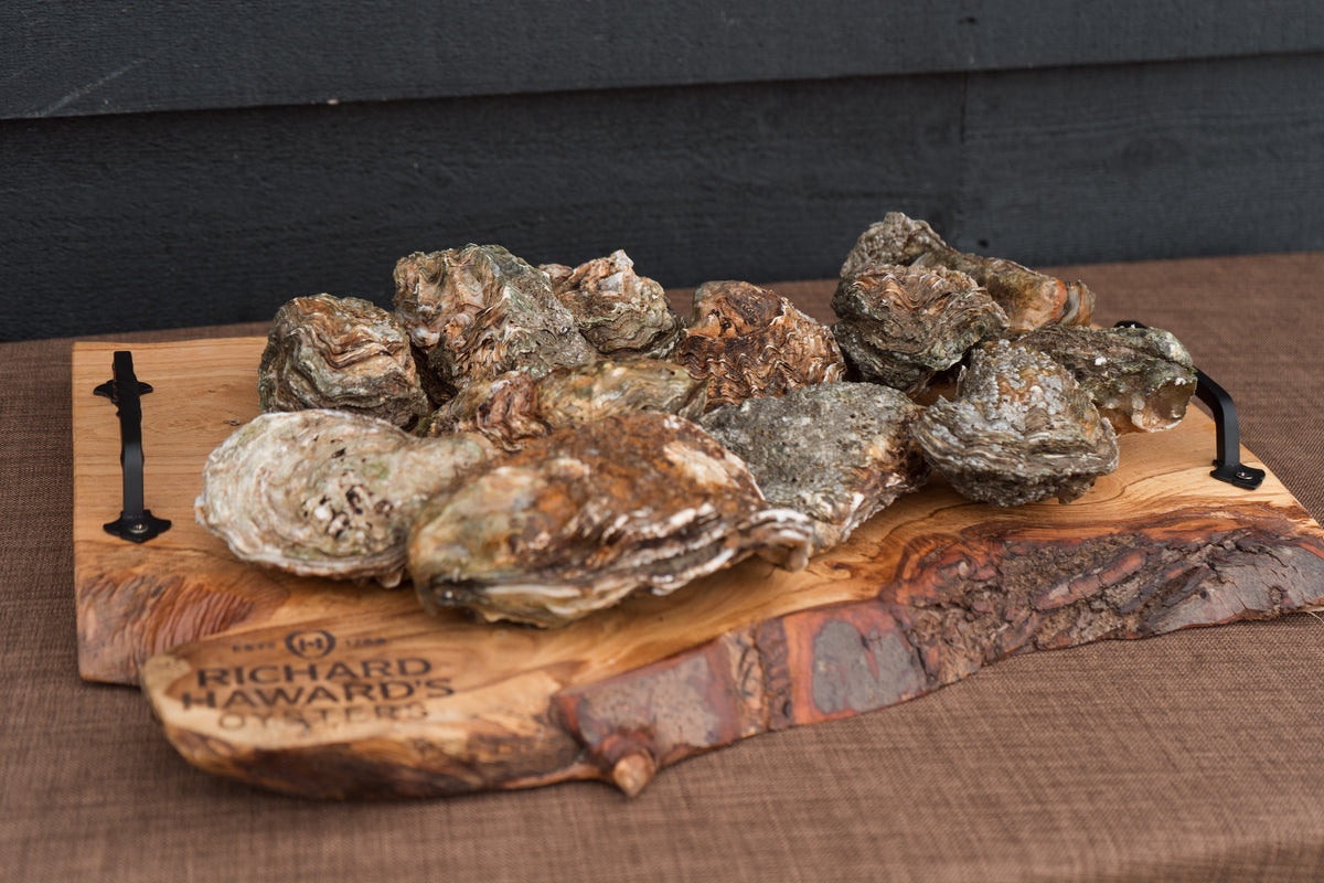 12 XL oysters. 