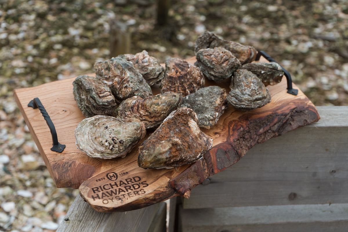 12 big oysters. 