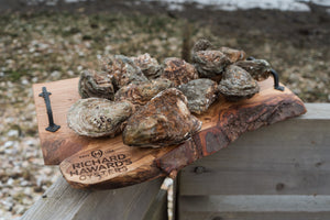 Dozen large rock oysters. Mersea oysters. 