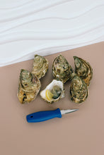 Load image into Gallery viewer, 1 shucking knife and 6 jersey rock oysters. 