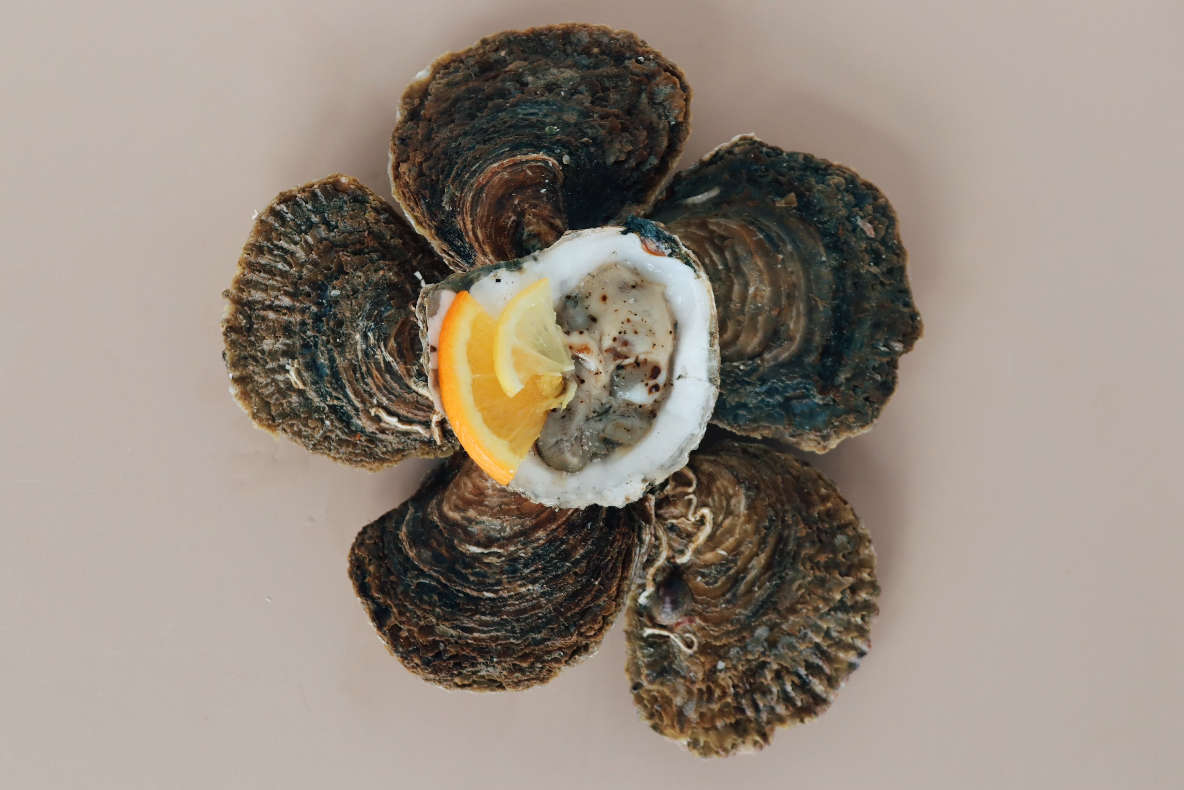 Half a dozen native oysters. 1 shucked mersea native oyster. Richard Haward's Oysters. 