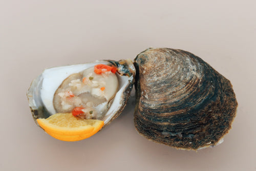 Large Native Oyster