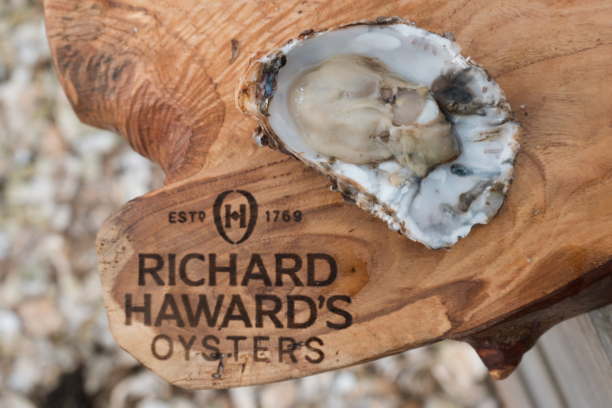 Medium Mersea rock oyster. Mail order oyster. 