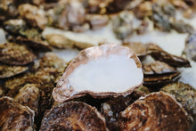 Load image into Gallery viewer, Oyster shell candle. Mersea oyster. Candles 