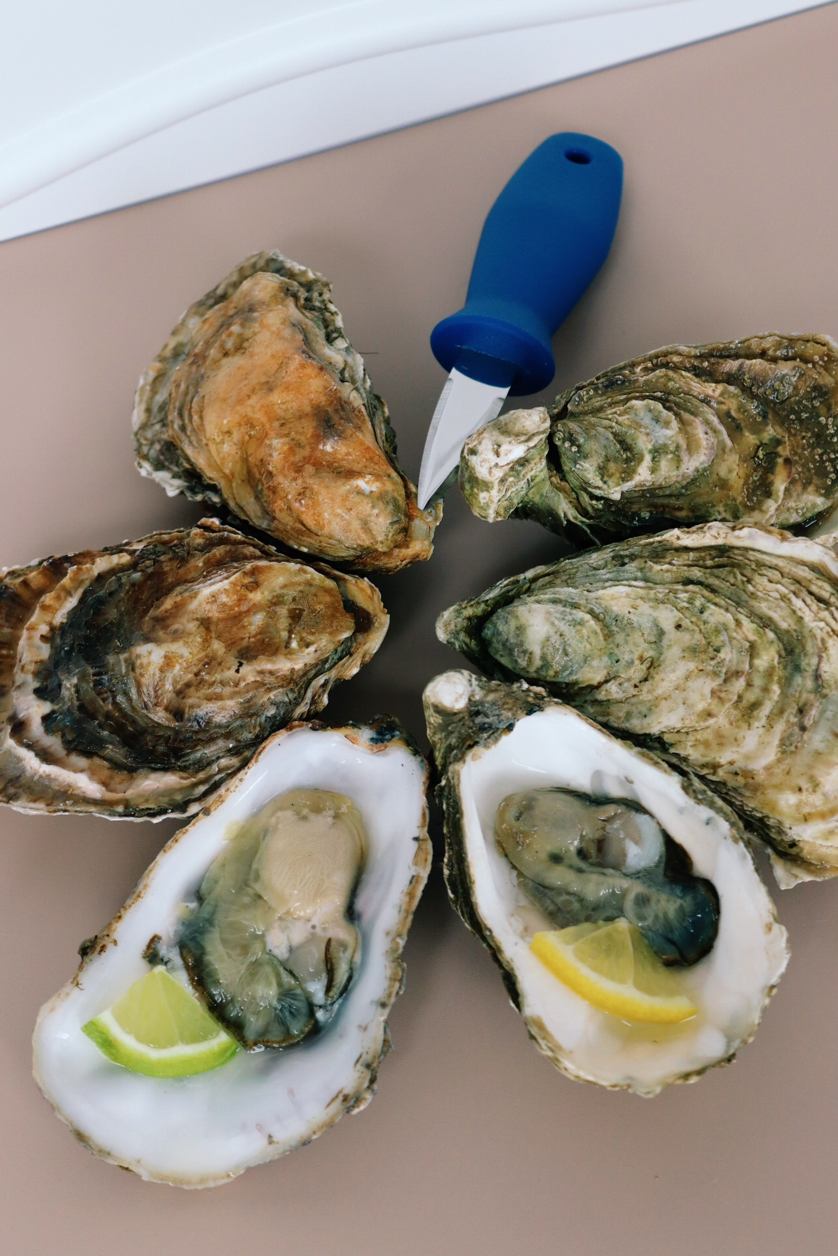 Open oysters on a plate with lemon wedges and a small knife.
