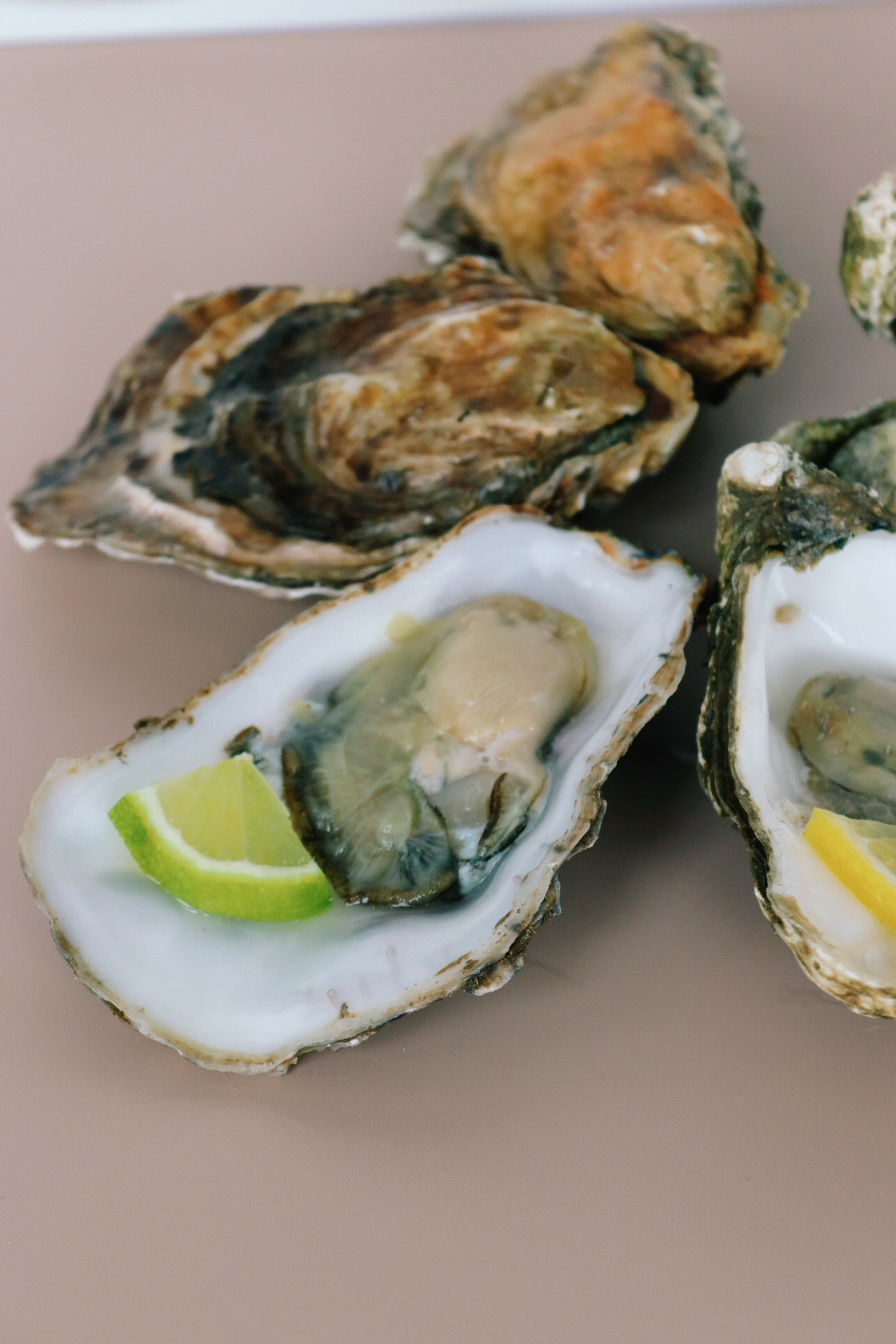 Open oysters on a beige surface with a lime wedge and lemon slice inside.