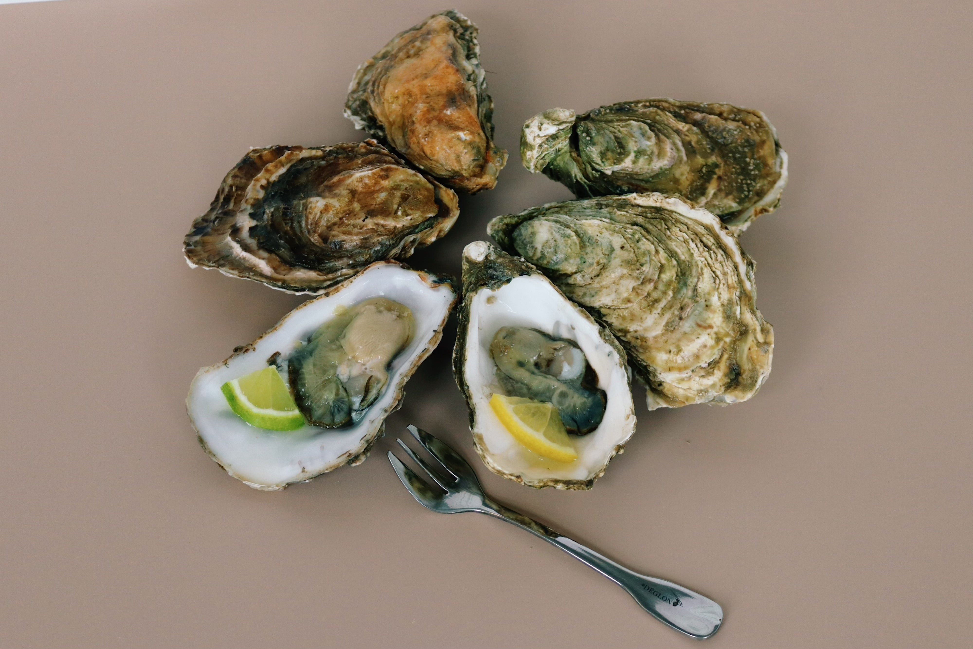Open oysters on a plate with lemon wedges and a fork on a brown background