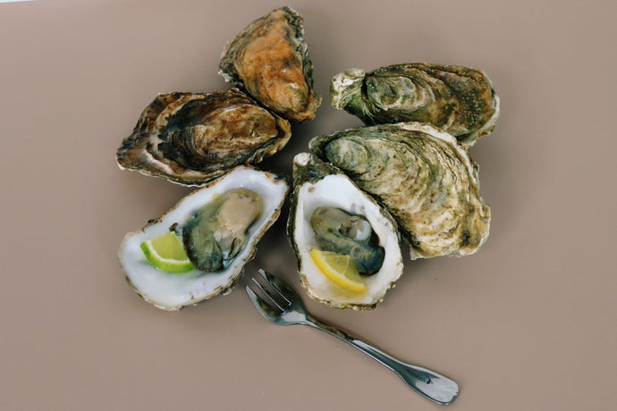 Open oysters on a plate with lemon wedges and a fork on a brown background