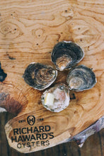 Load image into Gallery viewer, Small native oysters. Mail order oysters 