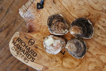 Load image into Gallery viewer, Medium native oysters. Mersea native oysters. 