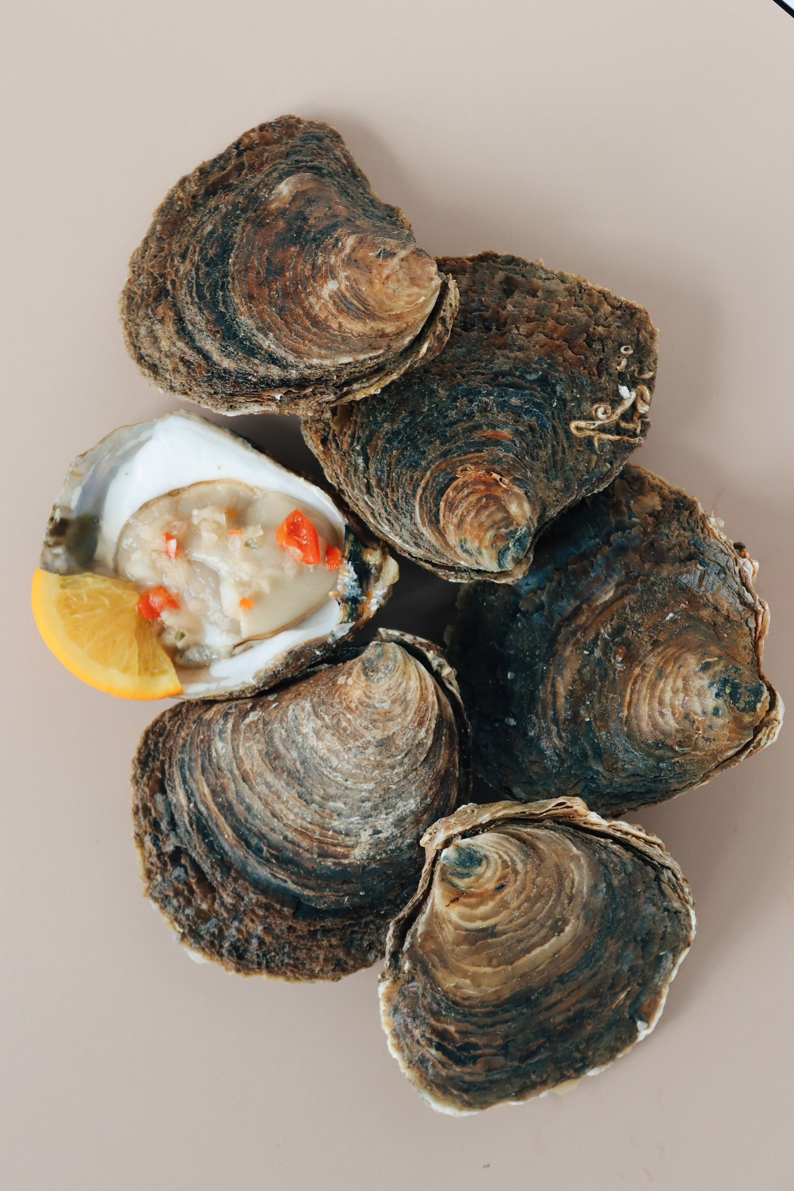Half a dozen large native oysters. 