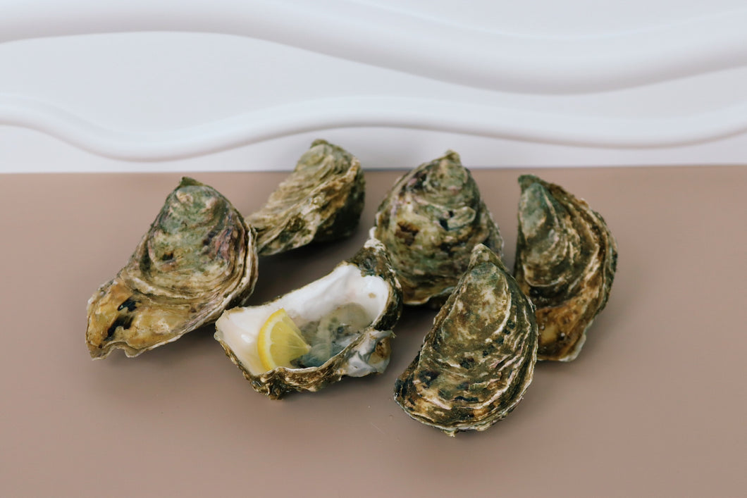 6 Jersey rock oysters. Sold by Richard Haward's Oysters 